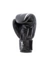Gants de boxe ARES Noir