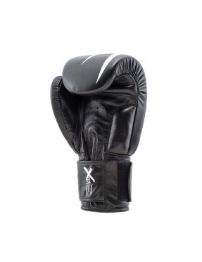 Gants de boxe ARES Noir