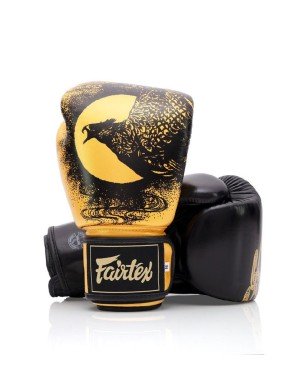 Gants FAIRTEX - HARMONY SIX