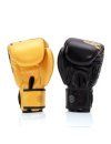 Gants FAIRTEX - HARMONY SIX