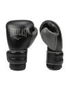 Gants de boxe Everlast Powerlock 2 Training