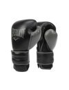 Gants de boxe Everlast Powerlock 2 Training