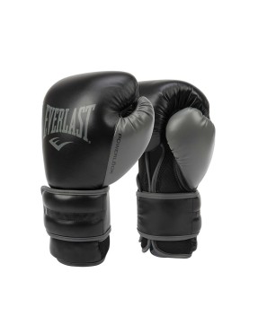Gants de boxe Everlast Powerlock 2 Training