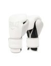 Gants de boxe Everlast Powerlock 2 Training