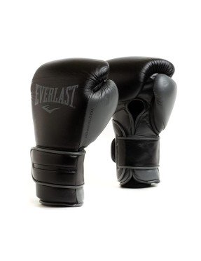 Gants de boxe Everlast Powerlock Hook&Loop